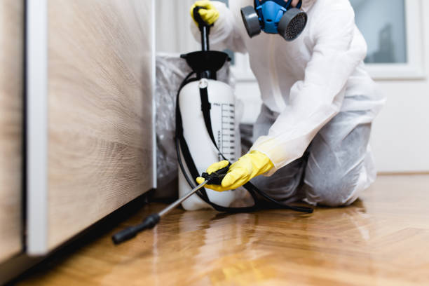 Best Local Pest Control Services  in Forestdale, MA
