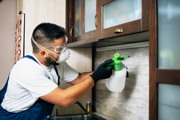 Best Exterminator Services  in Forestdale, MA