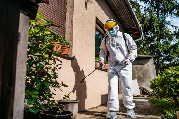 Best Emergency Pest Control  in Forestdale, MA
