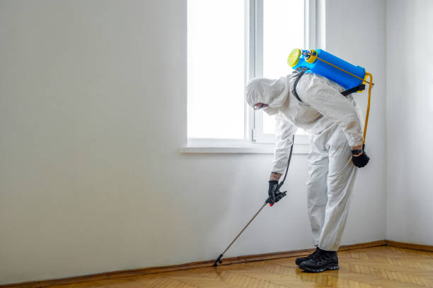 Best Spider Control Near Me  in Forestdale, MA